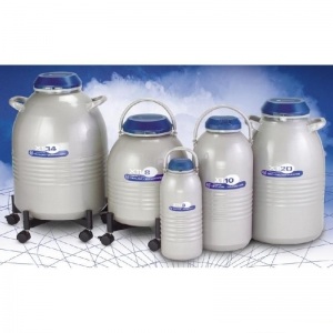 ̩������